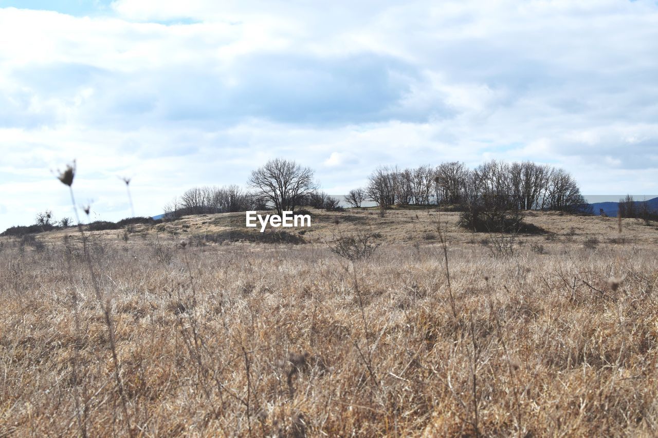 SCENIC VIEW OF LAND AGAINST SKY