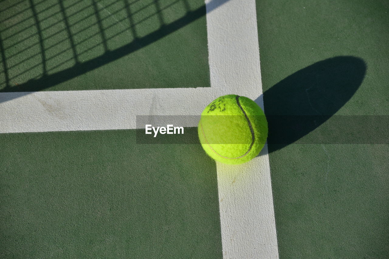 HIGH ANGLE VIEW OF FRESH GREEN BALL AND YELLOW LEAF ON FLOOR