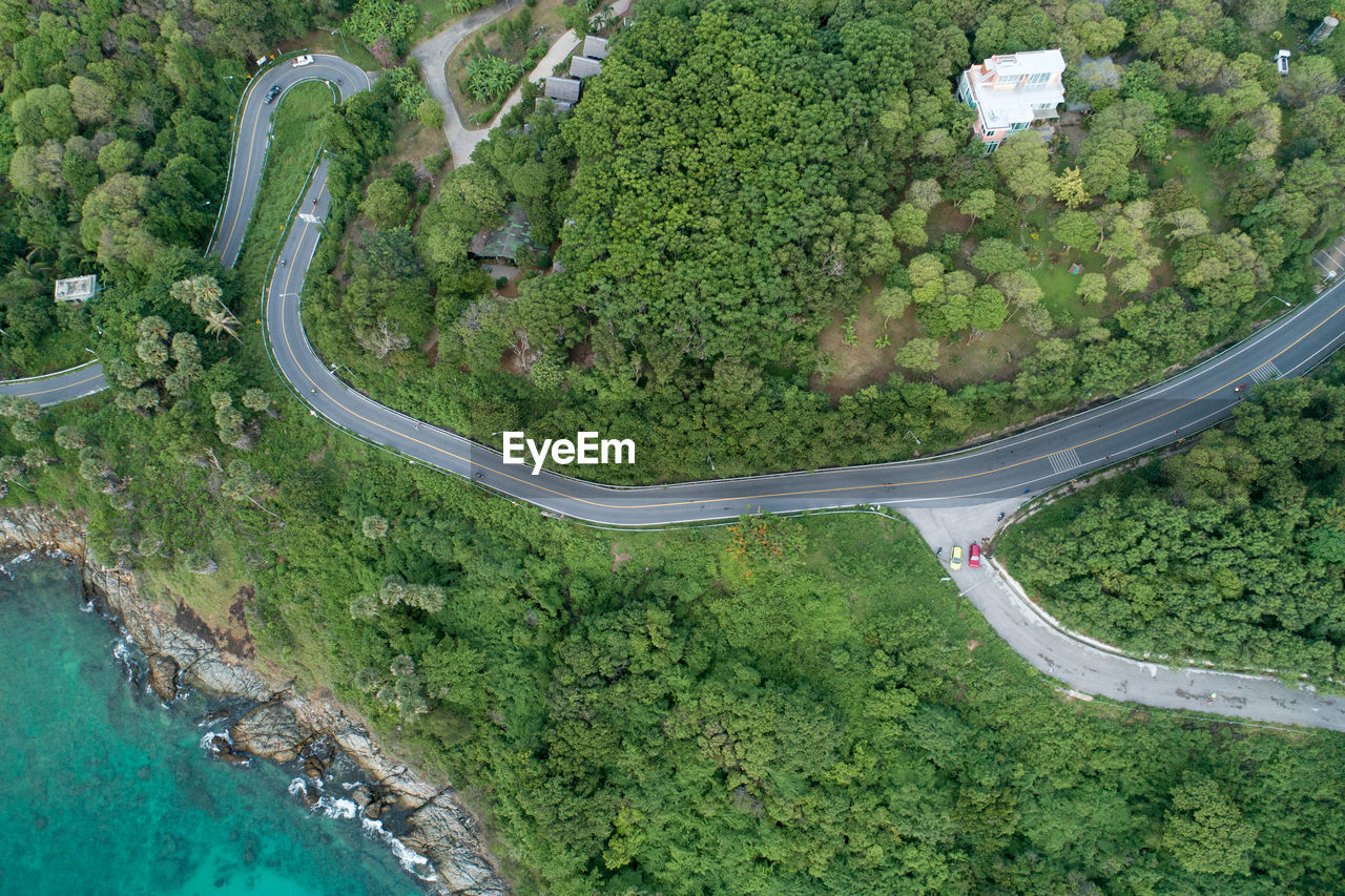 Aerial view of roads amidst trees