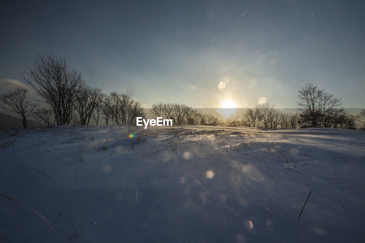 Snow covered field against sky at night