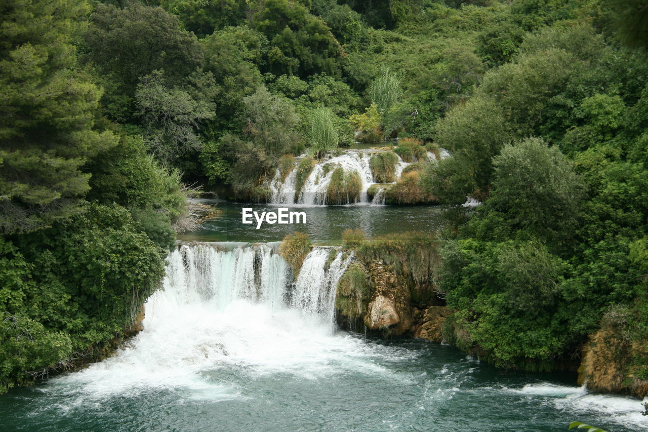 Scenic view of waterfall in forest