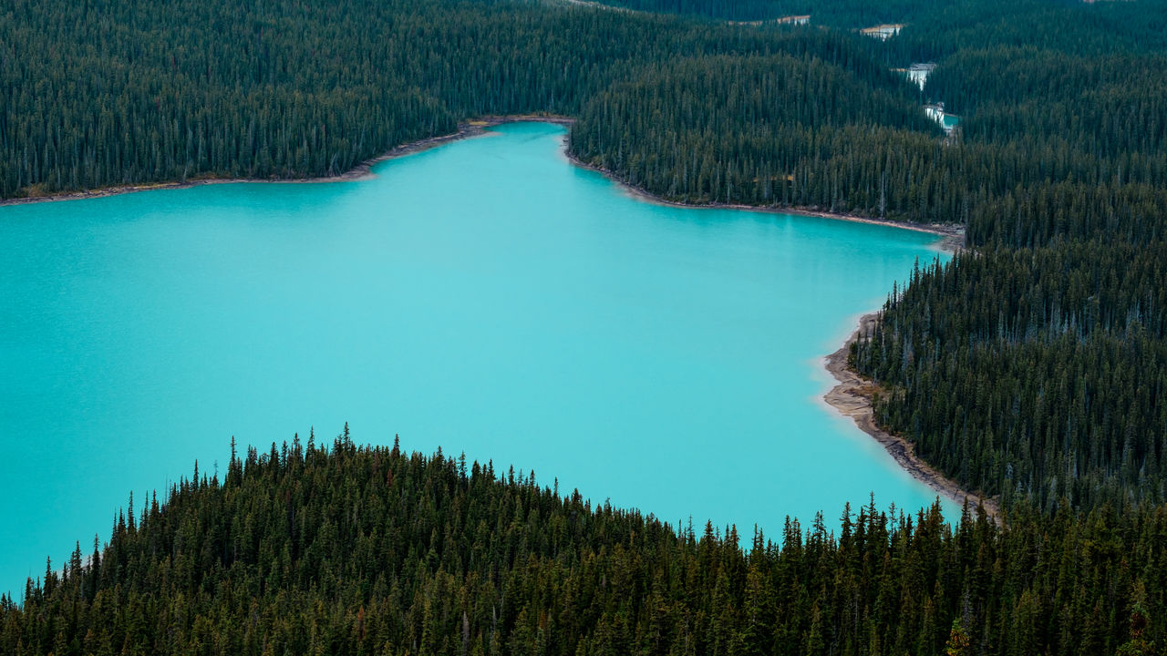 A vibrant aqua color lake, shaped like a star and surrounded by forest, banff national park, canada.