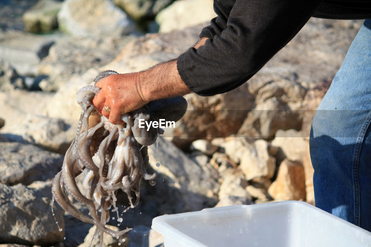 Midsection of man holding octopuses at beach