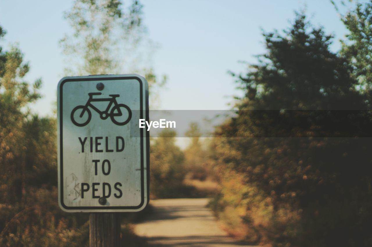 CLOSE-UP OF ROAD SIGNS AGAINST TREES
