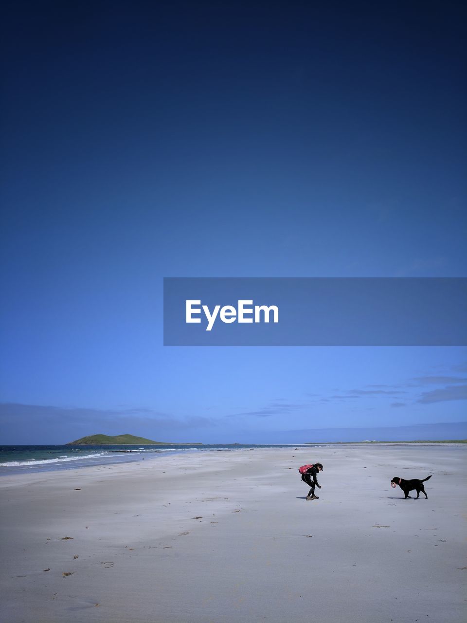 Woman with dog at beach against clear blue sky