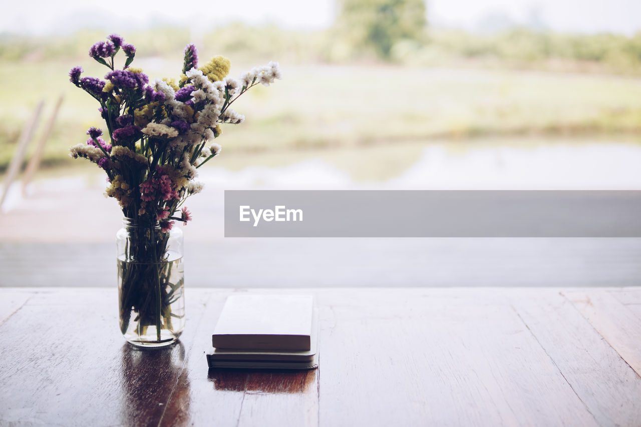 CLOSE-UP OF FLOWERING PLANT ON TABLE AGAINST WALL