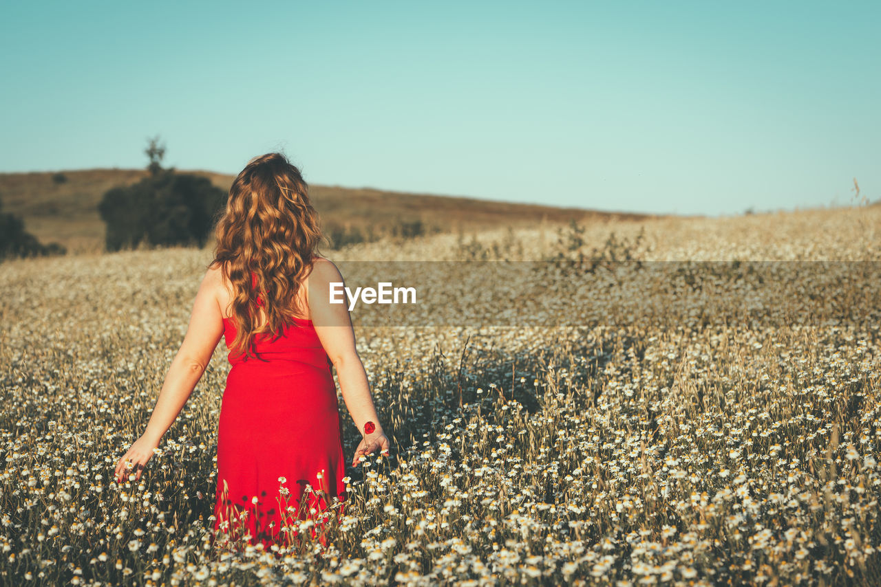 Rear view of woman standing on field against clear sky