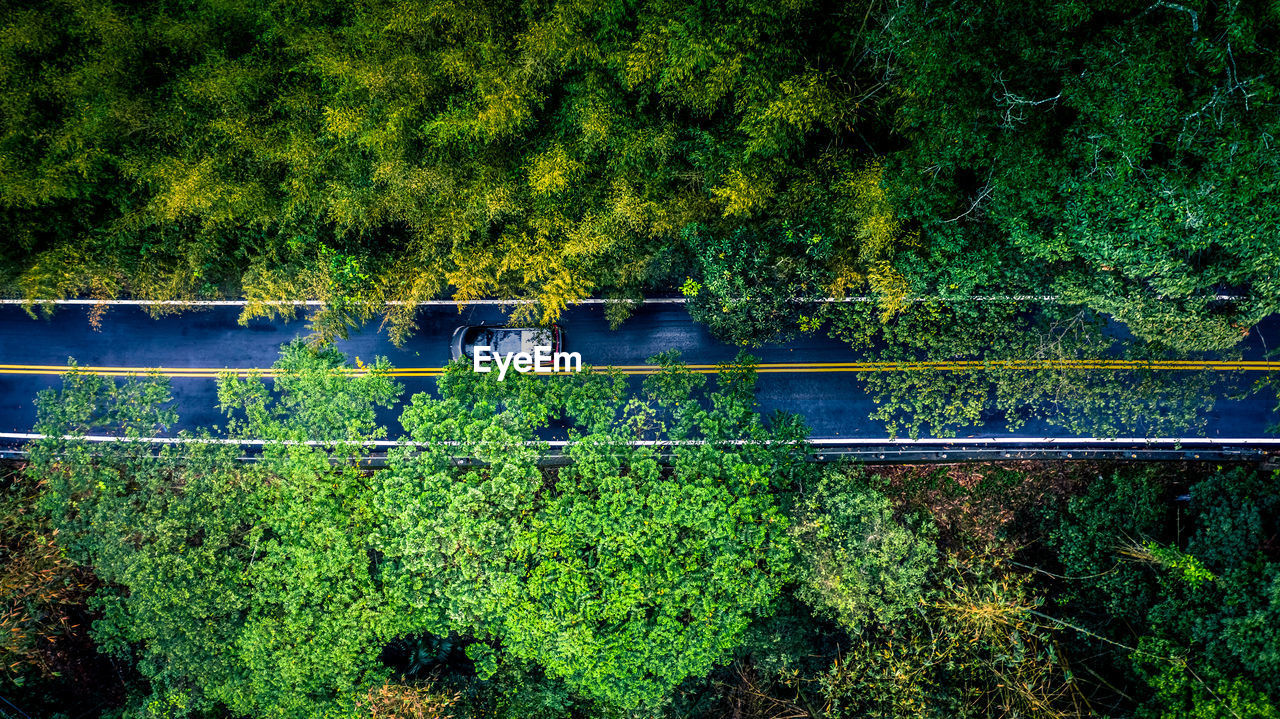 High angle view of plants growing on field