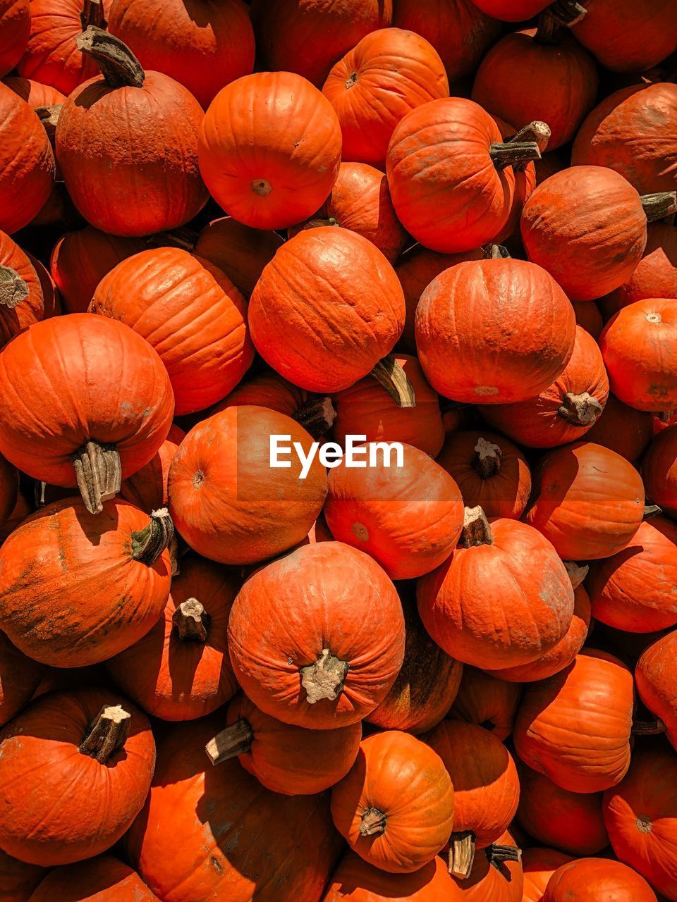 Full frame shot of pumpkins for sale in market