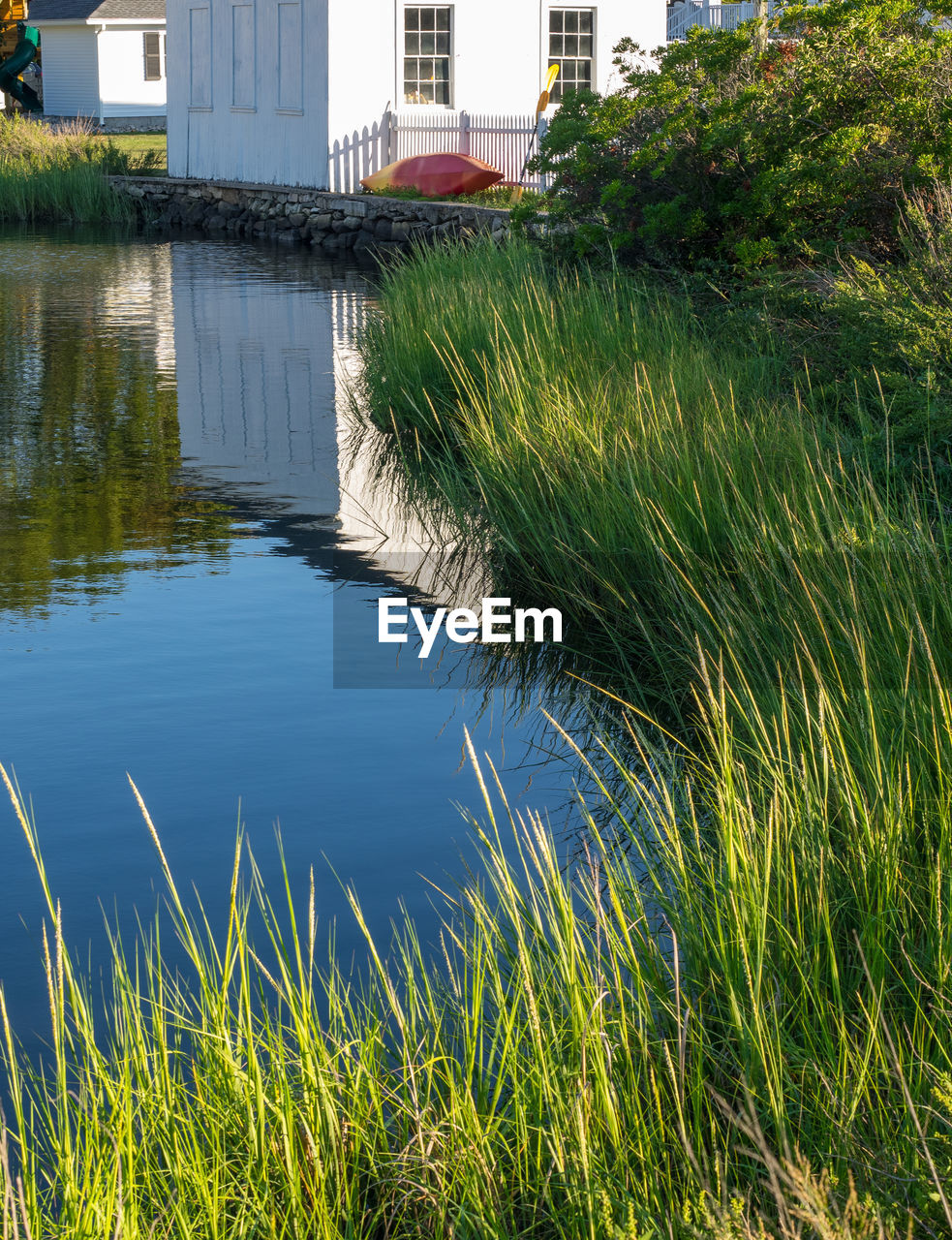 Scenic view of green landscape