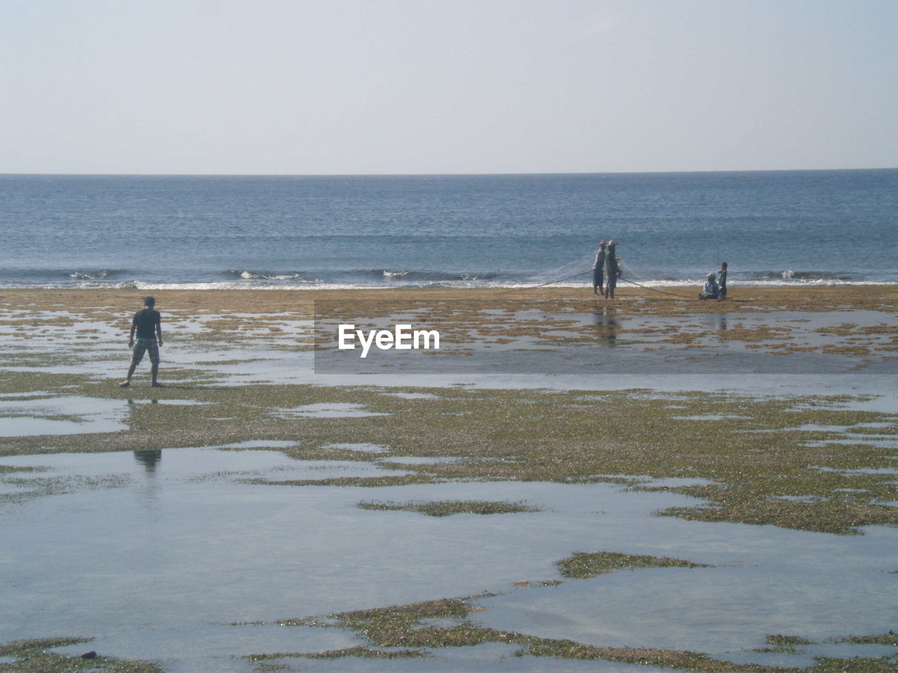 People fishing in sea against clear sky