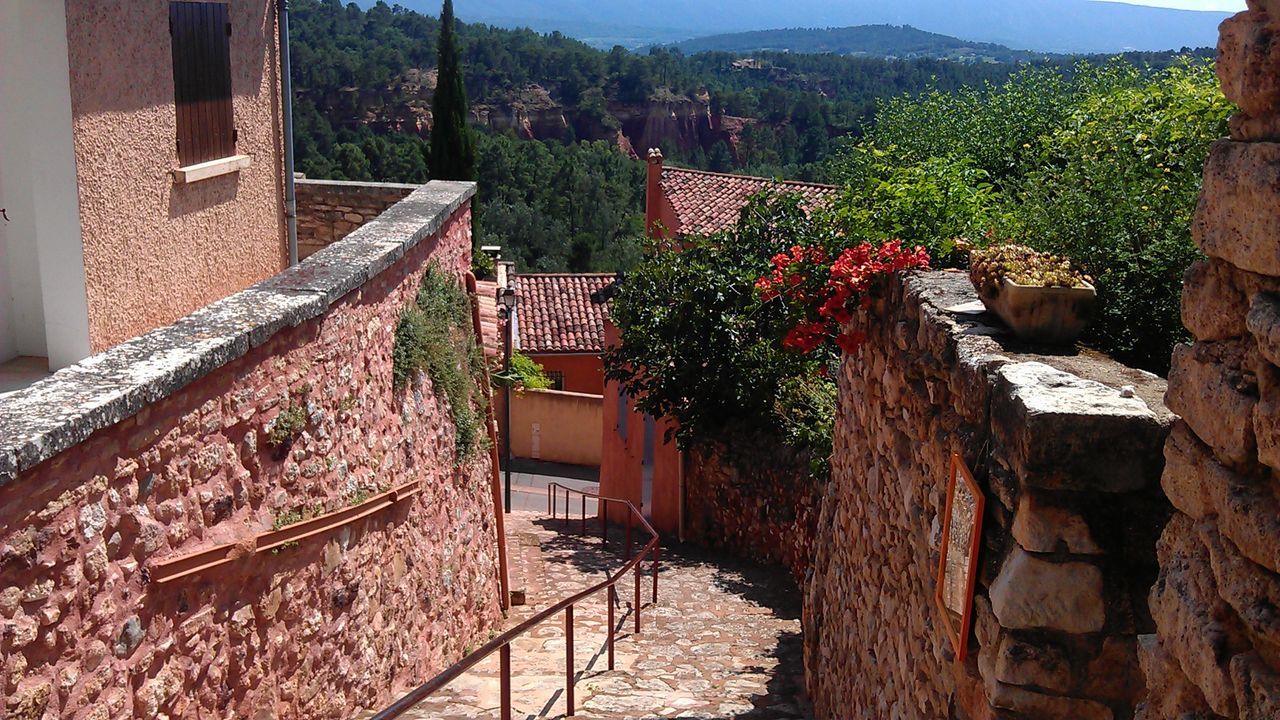 Footpath amidst houses