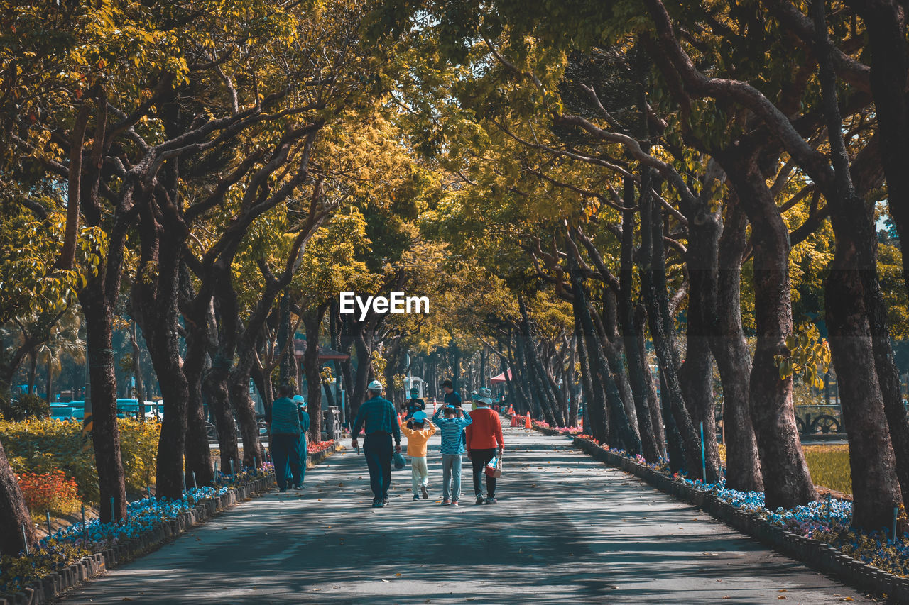 People walking on footpath amidst trees