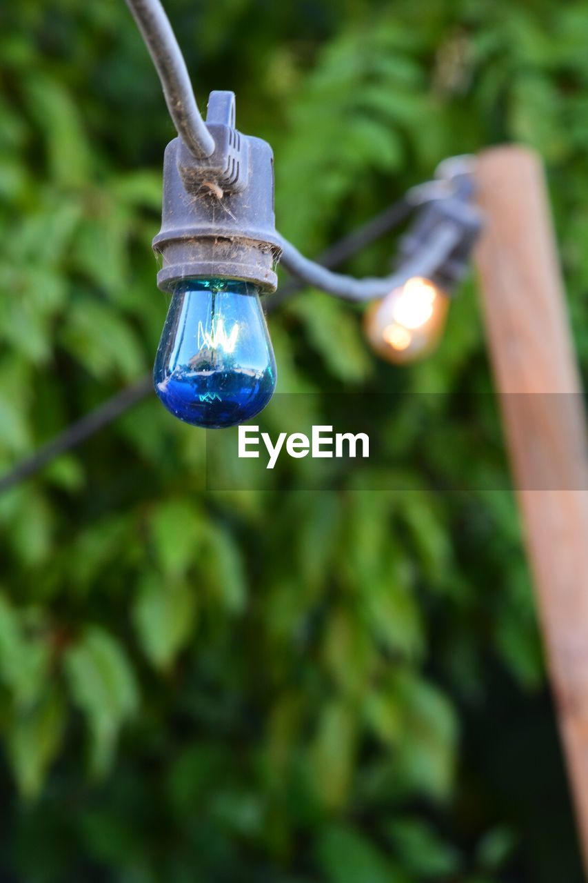 Close-up of illuminated light bulbs