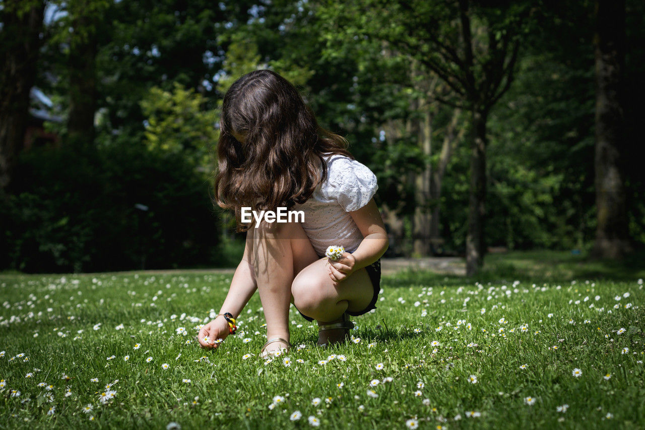 Portrait of a girl picking daisies in the park on a summer day.