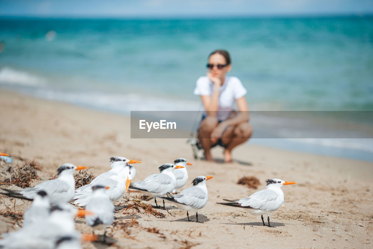 rear view of woman sitting on beach