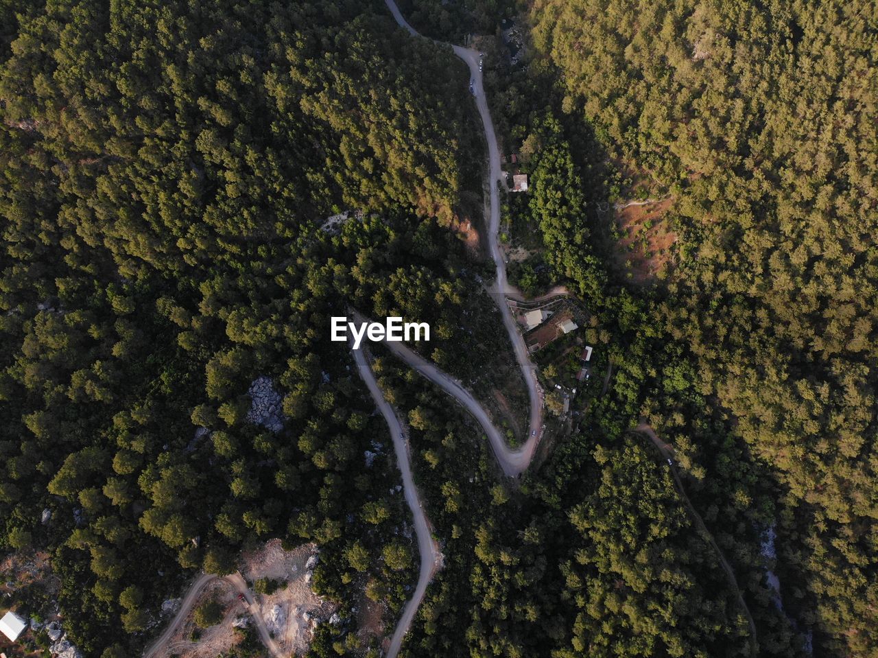 Aerial view of winding road in forest