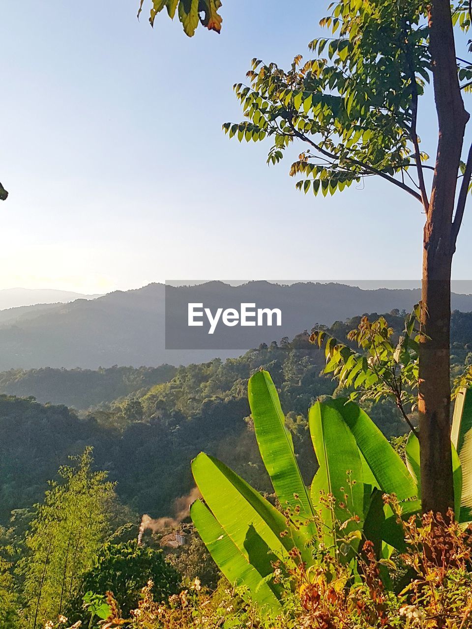 SCENIC VIEW OF GREEN MOUNTAINS AGAINST SKY