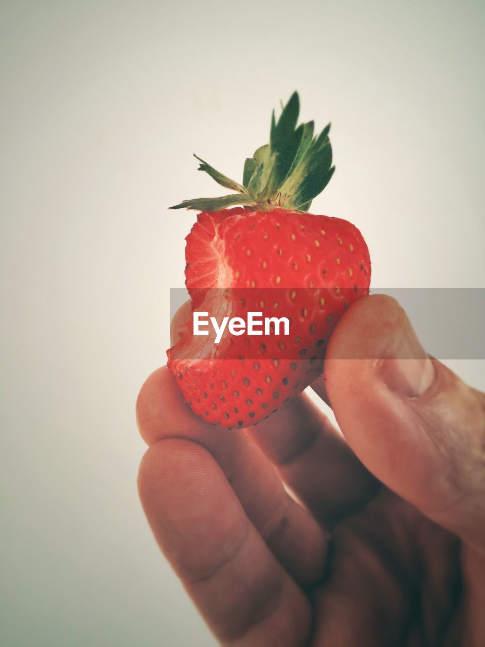 CLOSE-UP OF HAND HOLDING STRAWBERRIES