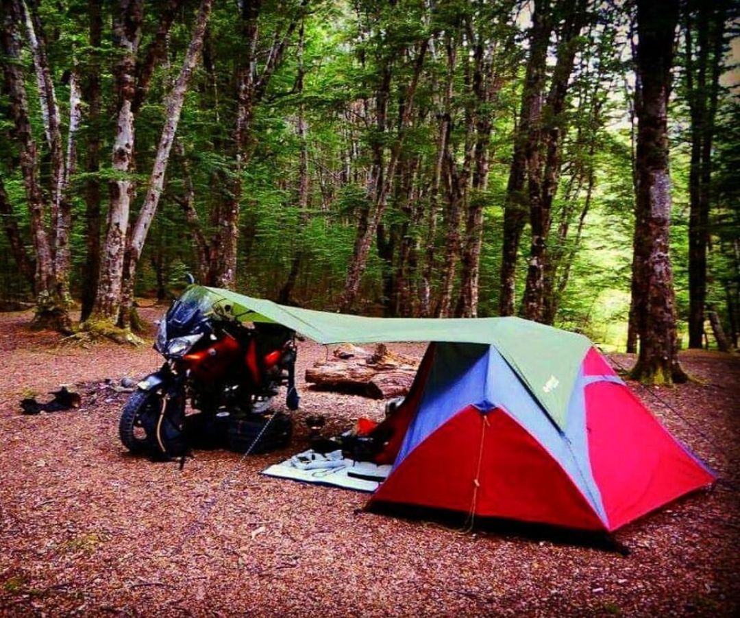 TENT IN FOREST AGAINST TREES IN THE BACKGROUND