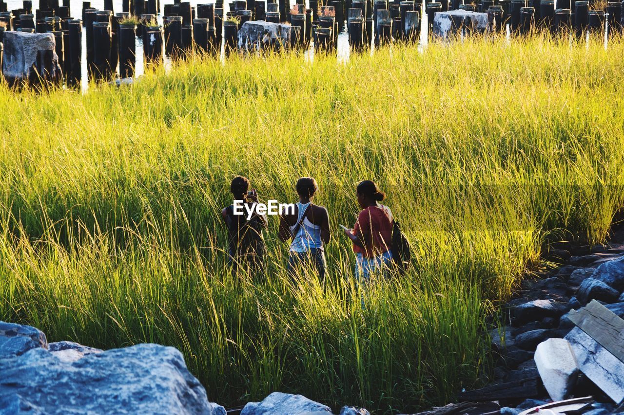 Rear view of friends standing amidst plants on field