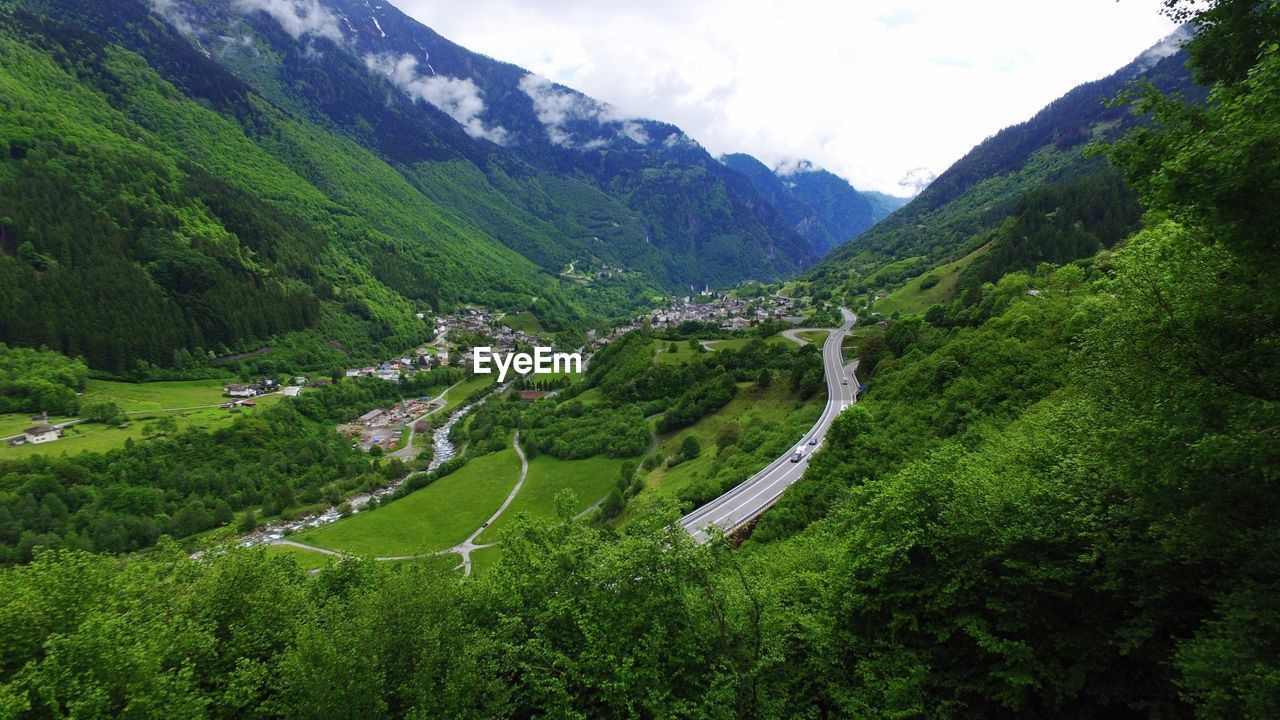 High angle view of trees on landscape