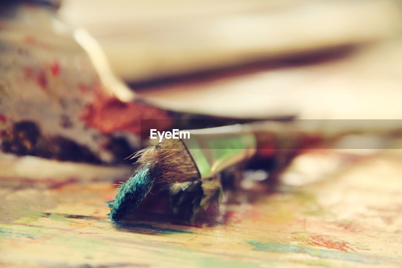 Close-up of paintbrushes on table