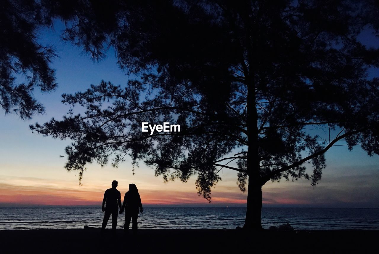 Silhouette couple standing at beach by tree against sky during sunset