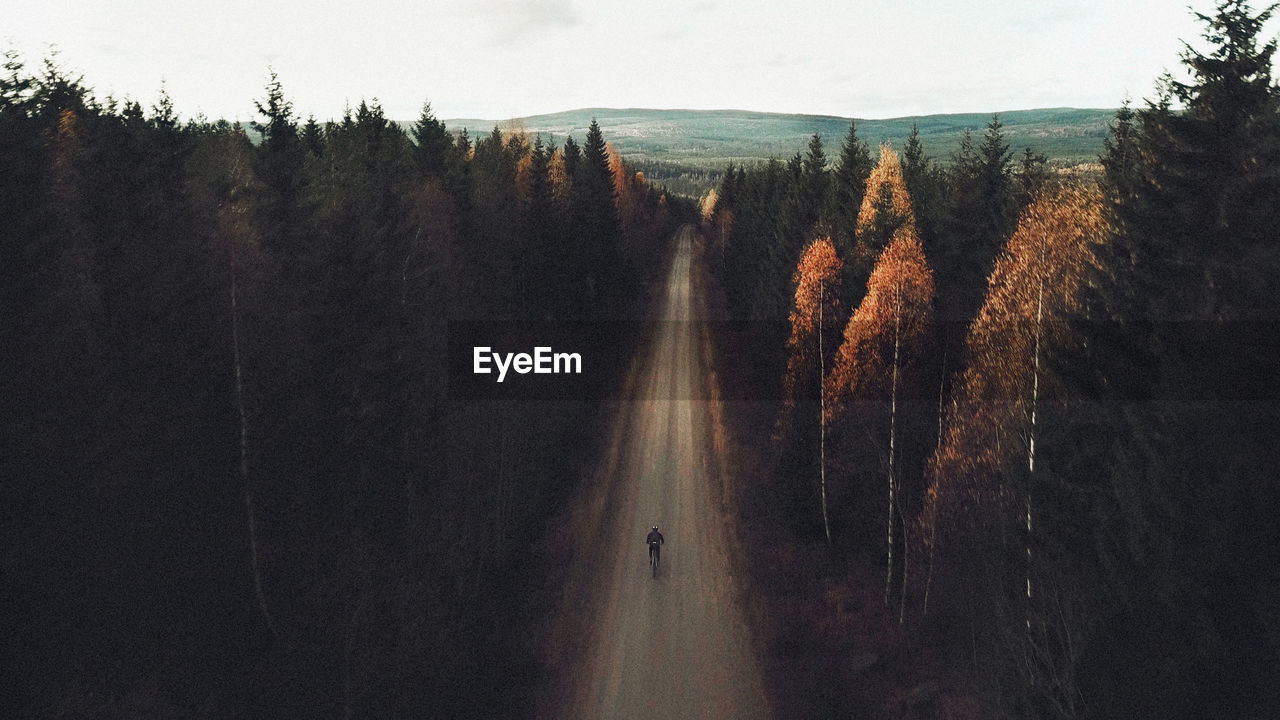 Man cycling on road in forest