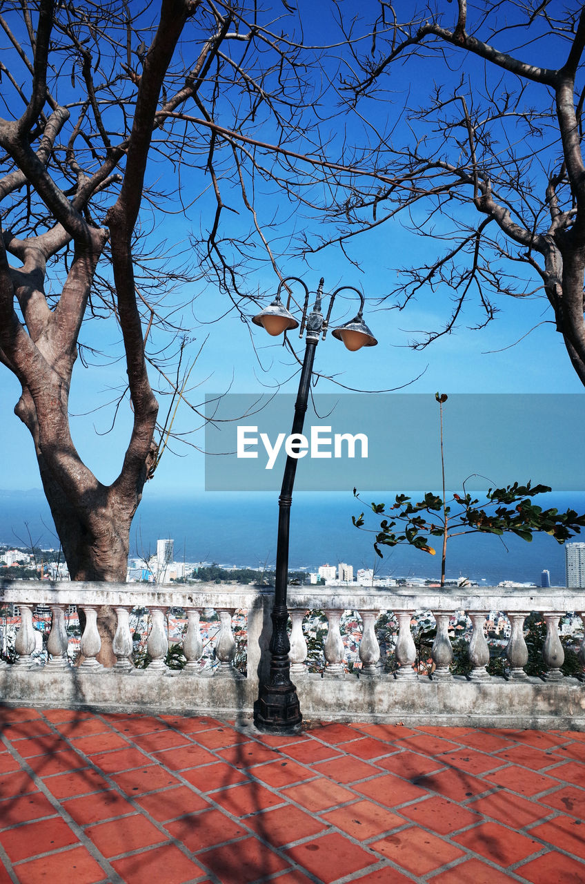 Street light on footpath by bare trees against sky