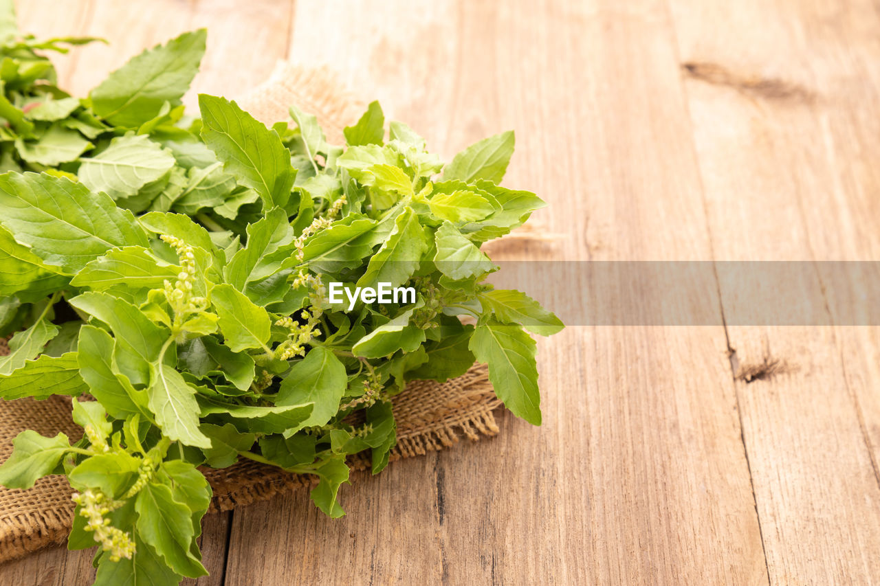 food and drink, food, wellbeing, healthy eating, wood, freshness, leaf, plant, green, herb, plant part, produce, vegetable, indoors, no people, coriander, parsley, nature, cutting board, high angle view, studio shot, organic, ingredient, lettuce, table, close-up, raw food, still life, spice, leaf vegetable