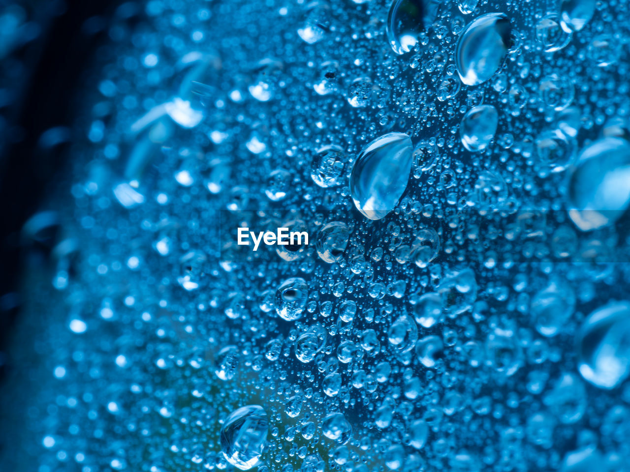 CLOSE-UP OF WATER DROPS ON GLASS