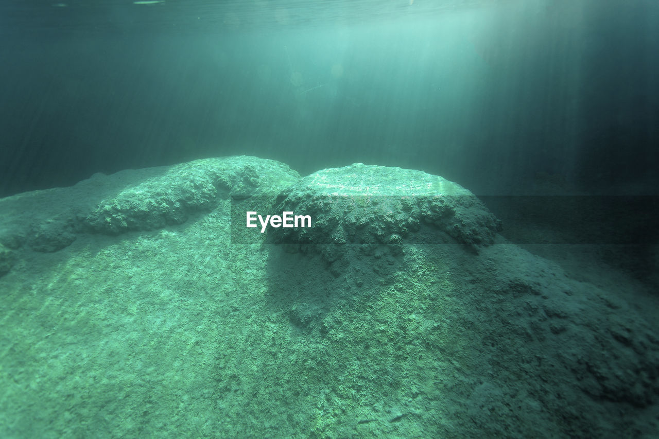 Underwater view of plitvice lakes, croatia