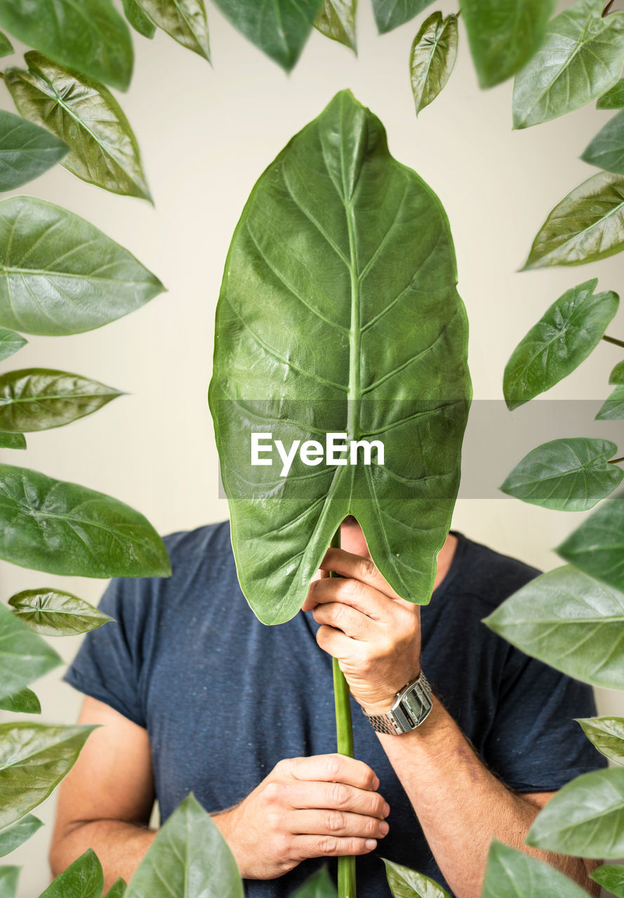 MIDSECTION OF PERSON HOLDING LEAVES