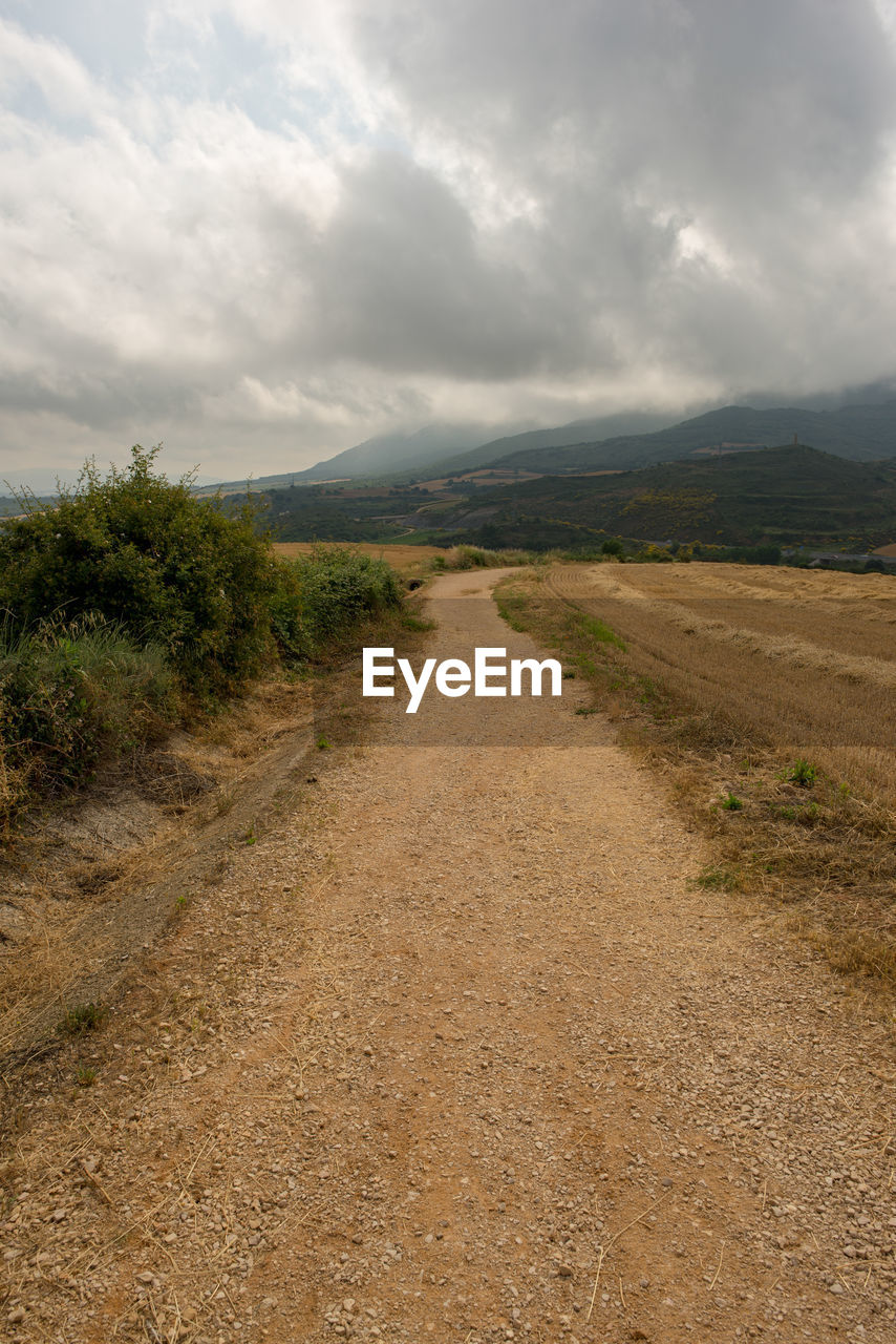 DIRT ROAD ALONG LANDSCAPE