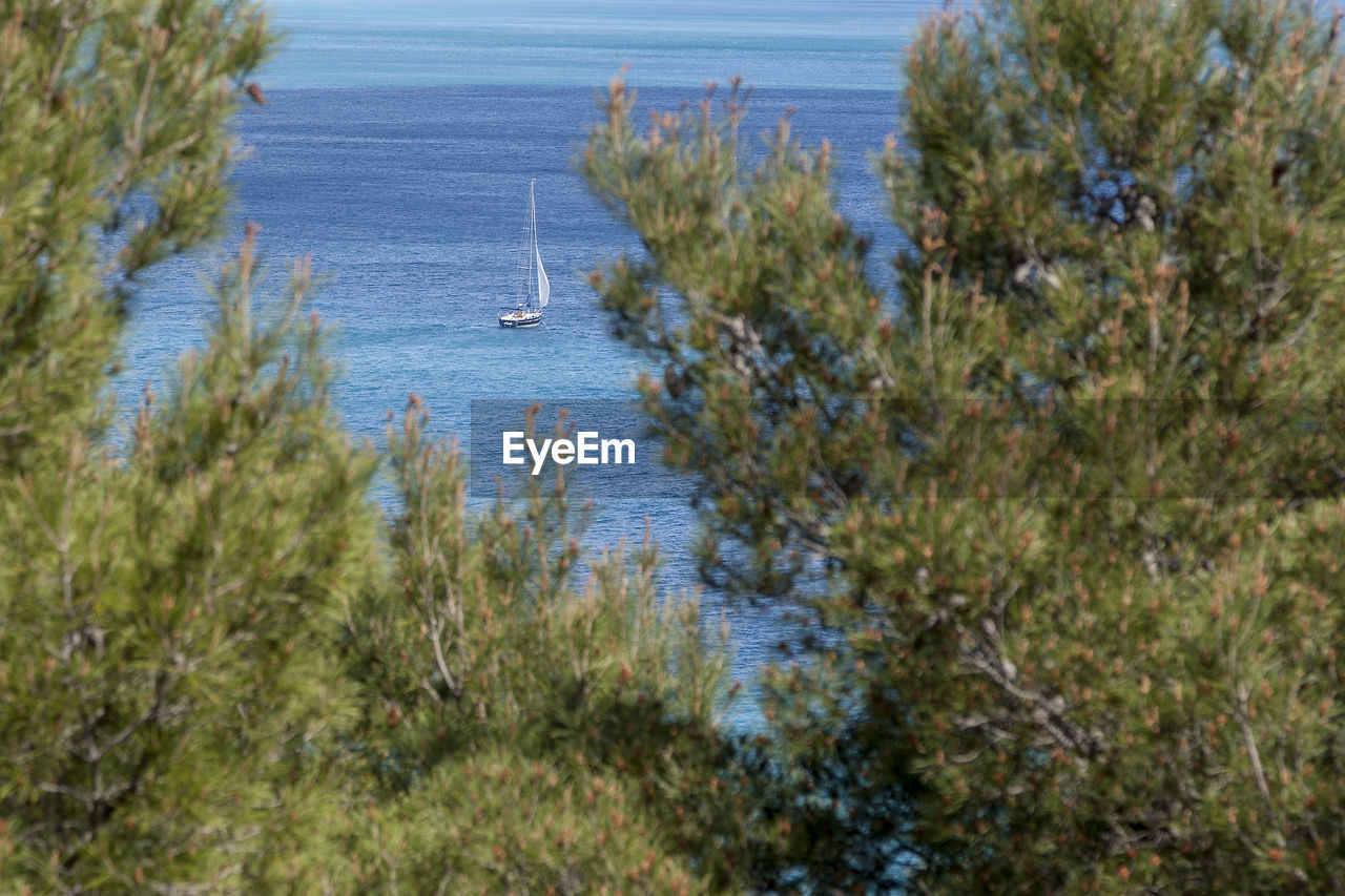 HIGH ANGLE VIEW OF SEA SHORE