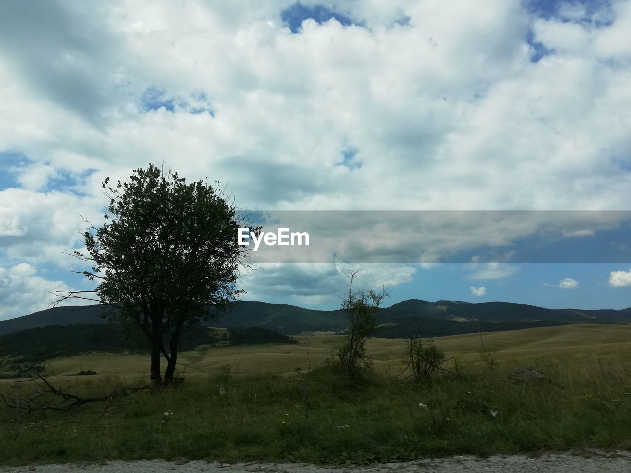 SCENIC VIEW OF LAND AGAINST SKY