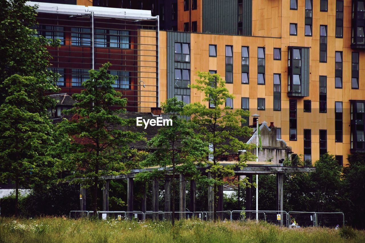 VIEW OF TREES AND BUILDINGS