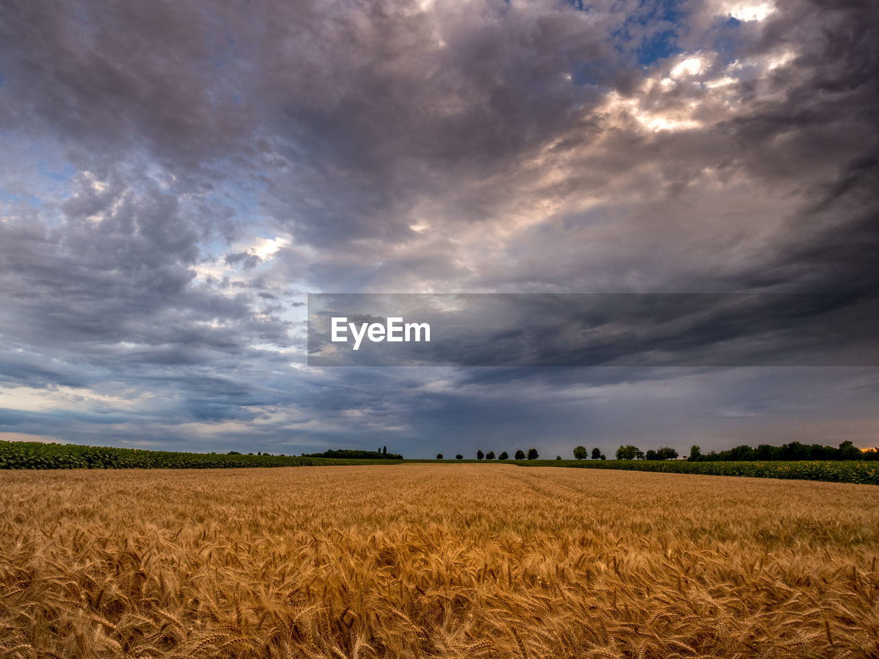 Scenic view of agricultural field against dramatic sky