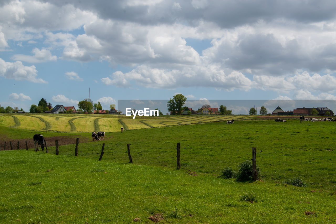 SCENIC VIEW OF FARM