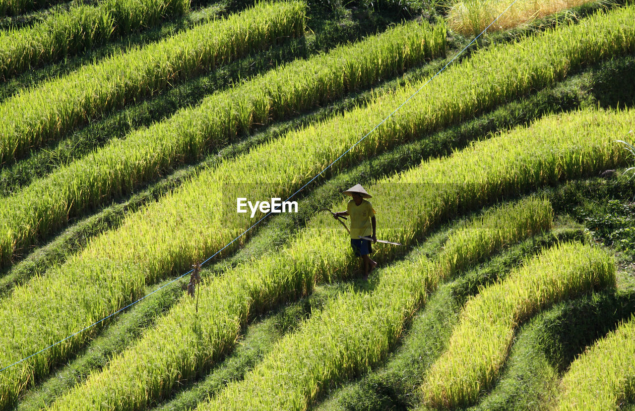 High angle view of man standing on terraced field