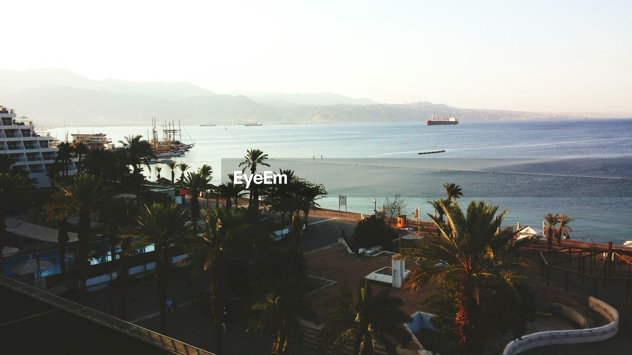 High angle view of palm trees on beach