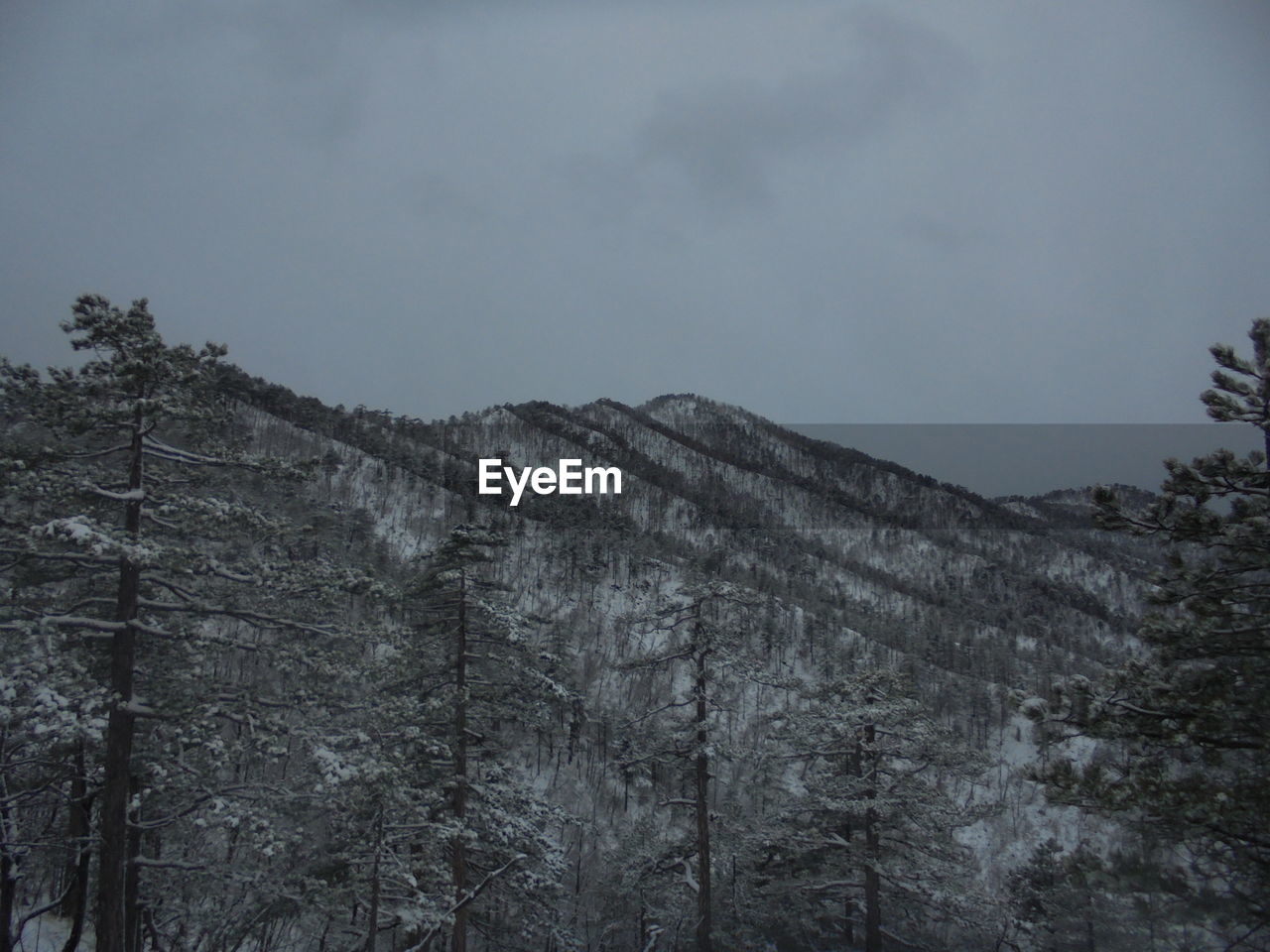 LOW ANGLE VIEW OF SNOW COVERED LAND AGAINST SKY