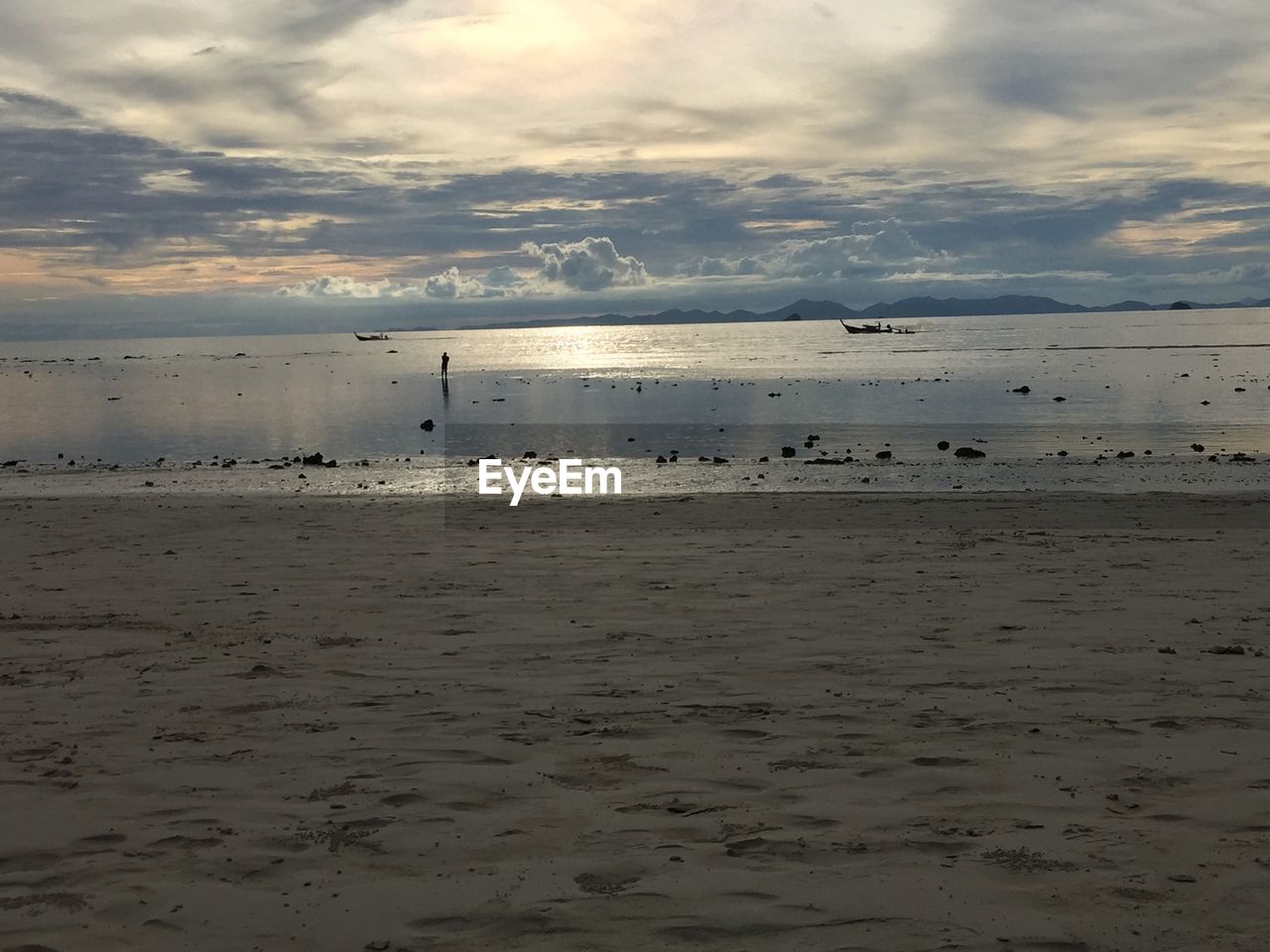 BIRDS FLYING OVER BEACH