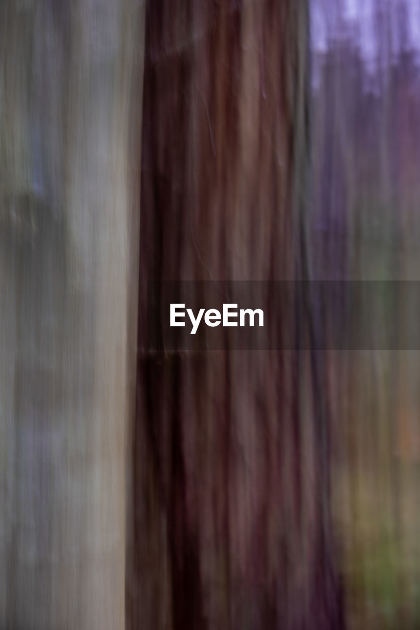 brown, wood, backgrounds, no people, tree, close-up, day, full frame, textured, nature, pattern, abstract, outdoors, focus on foreground, blurred motion