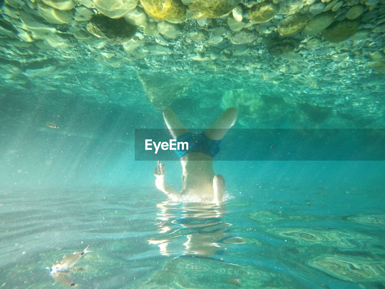 Shirtless man swimming in sea