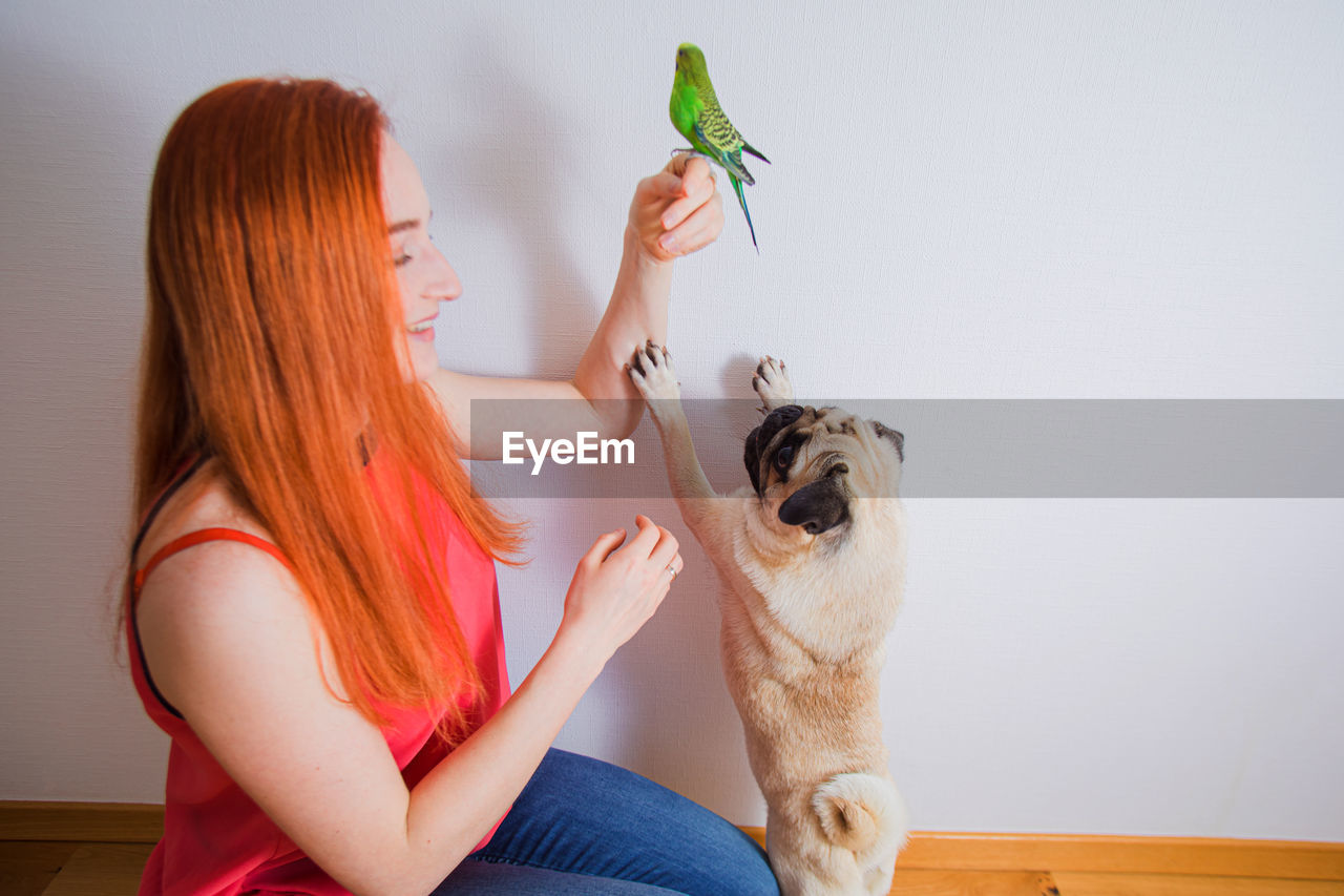 Smiling woman holding bird with dog at home