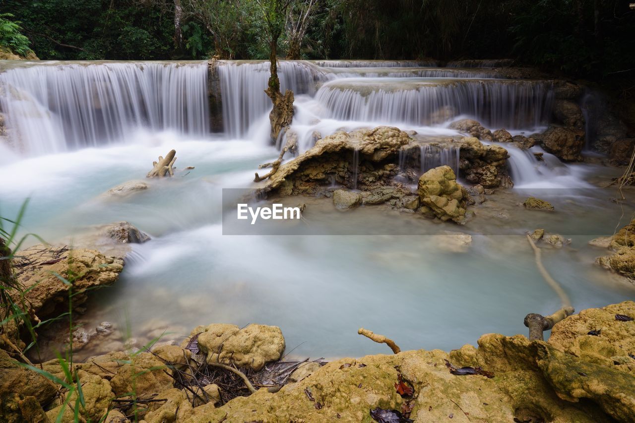 VIEW OF WATERFALL IN FOREST