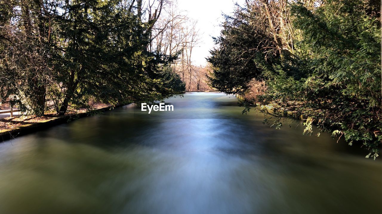 Scenic view of river amidst trees in forest against sky