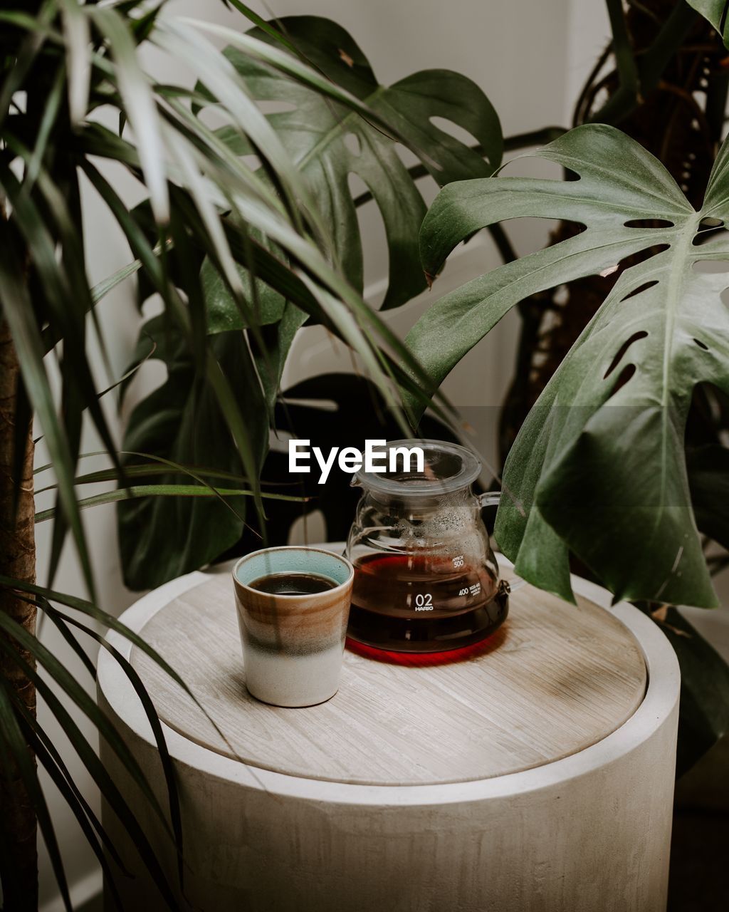 Black coffee on side table amidst plants